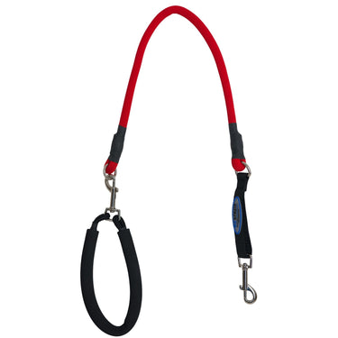 Ez Step Stretch Leash Medium - blue